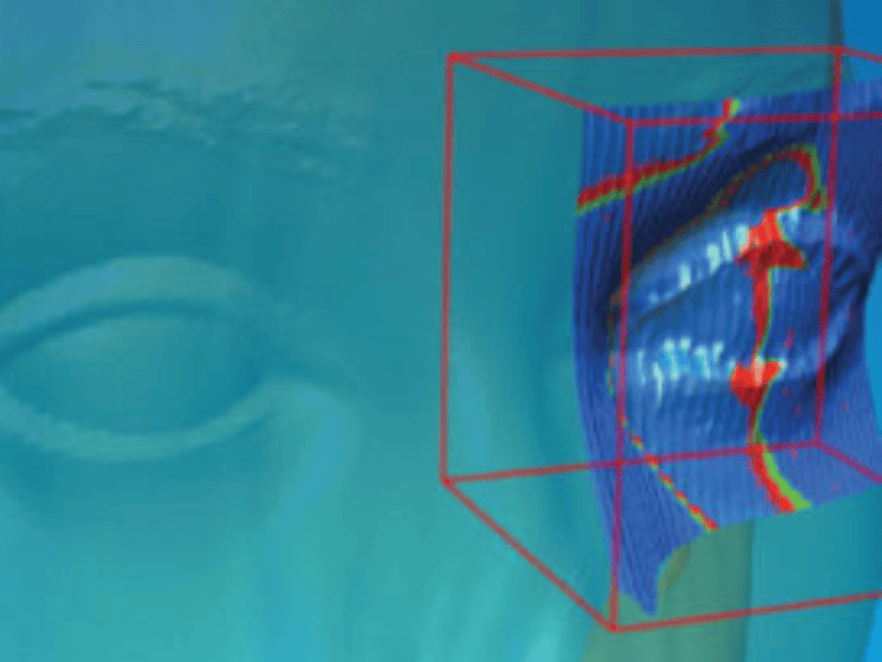 Diseno sin titulo 21 1